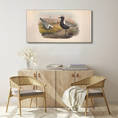 Birds animals Canvas print