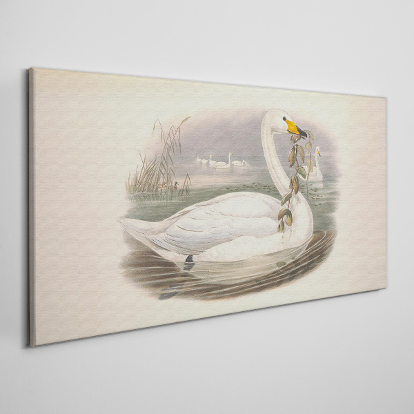 Swan with a branch Canvas wall art
