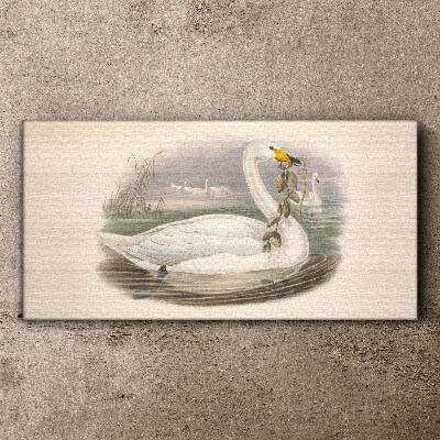 Swan with a branch Canvas wall art
