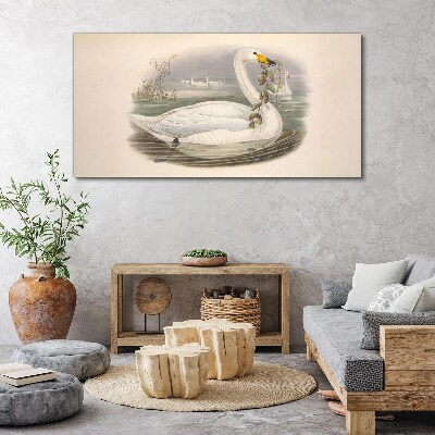 Animals birds beige Canvas print