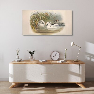 Birds animals figure Canvas print