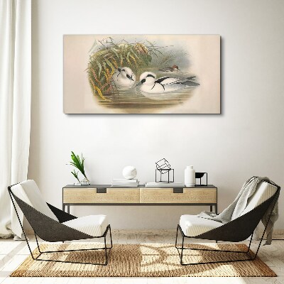 Birds animals figure Canvas print