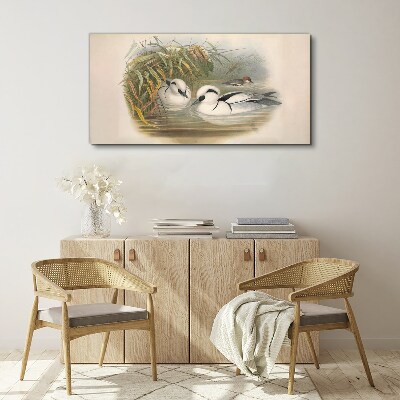 Birds animals figure Canvas print