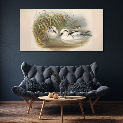 Birds animals figure Canvas print