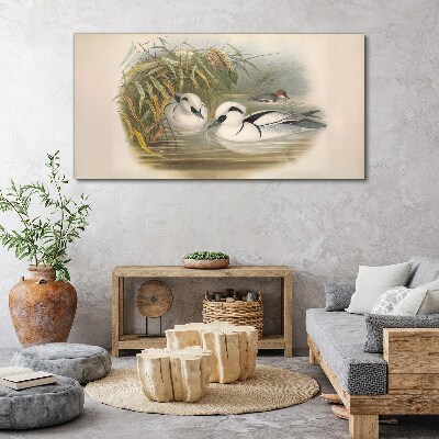 Birds animals figure Canvas print