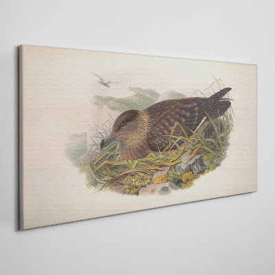 Animals birds beige Canvas print