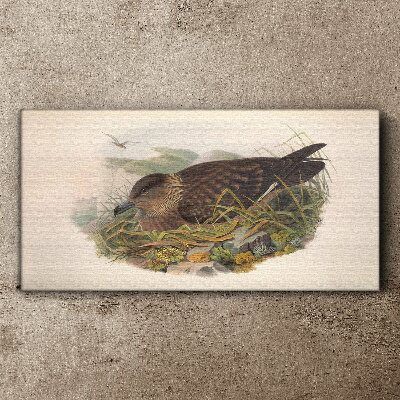 A bird's nest in its natural surroundings Canvas wall art