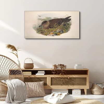 Animals birds beige Canvas print