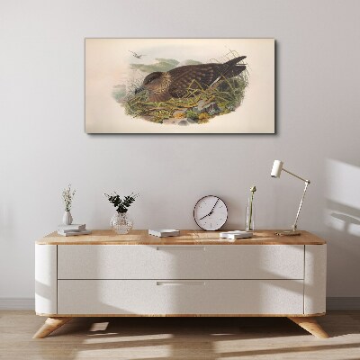 Animals birds beige Canvas print