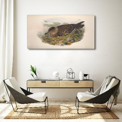 A bird's nest in its natural surroundings Canvas wall art