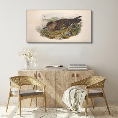 A bird's nest in its natural surroundings Canvas wall art