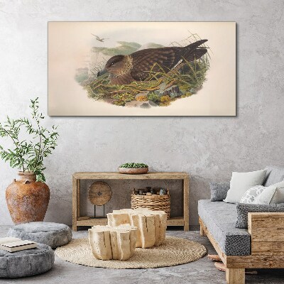 Animals birds beige Canvas print