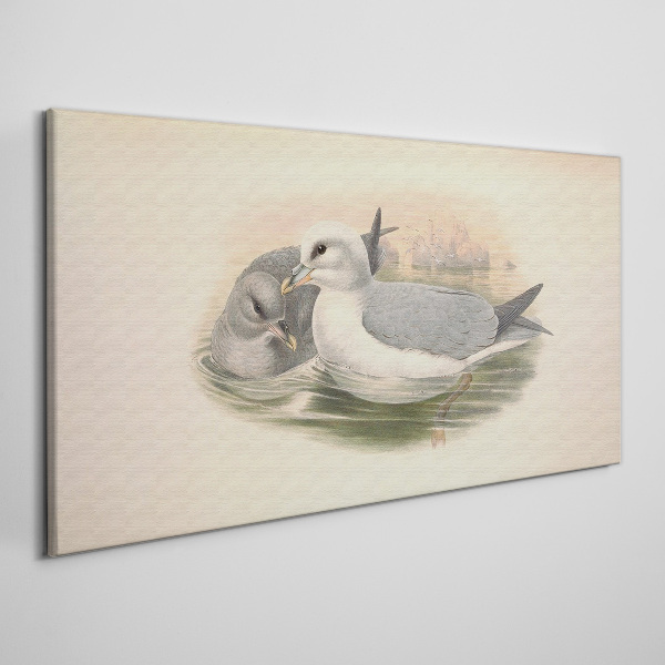 Seabirds in the calm water Print on canvas