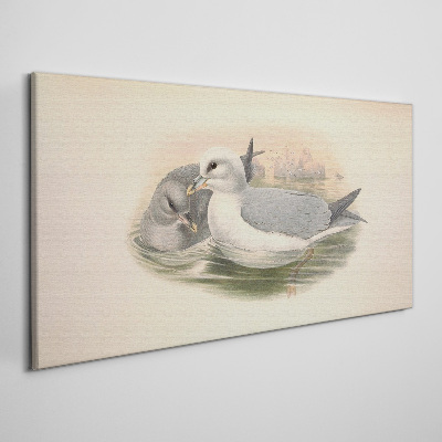 Seabirds in the calm water Print on canvas