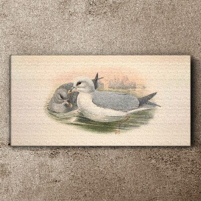 Seabirds in the calm water Print on canvas