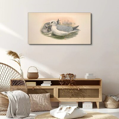 Seabirds in the calm water Print on canvas