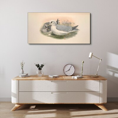 Seabirds in the calm water Print on canvas