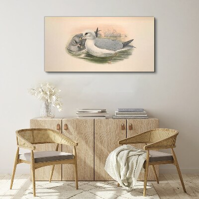 Seabirds in the calm water Print on canvas
