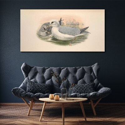 Seabirds in the calm water Print on canvas