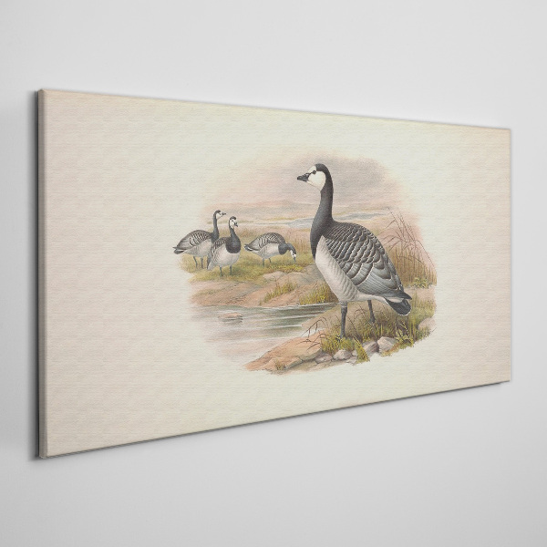 Goose family by the water Print on canvas