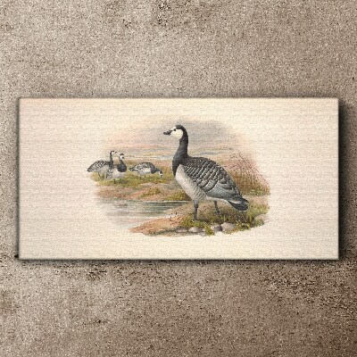Goose family by the water Print on canvas
