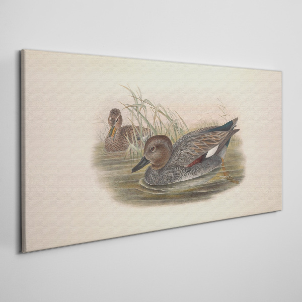 Ducks calm in their natural surroundings Canvas wall art