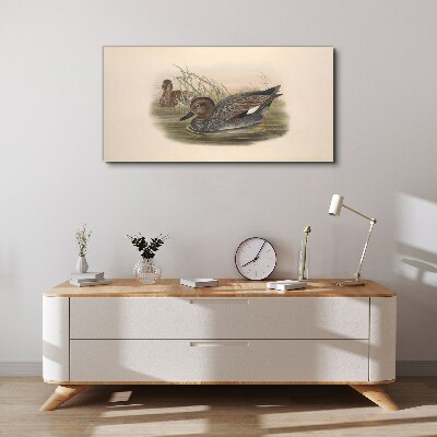 Ducks calm in their natural surroundings Canvas wall art
