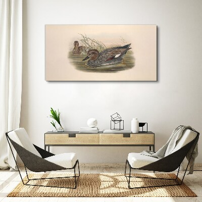 Ducks calm in their natural surroundings Canvas wall art