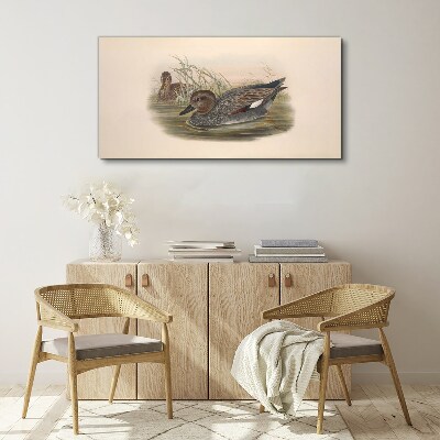 Ducks calm in their natural surroundings Canvas wall art