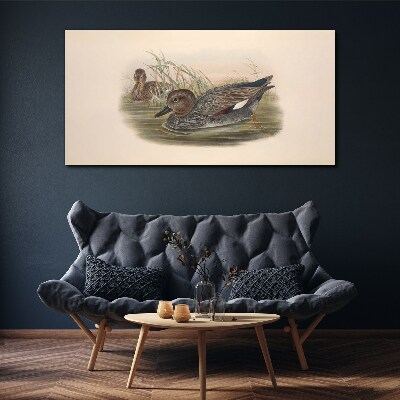 Ducks calm in their natural surroundings Canvas wall art