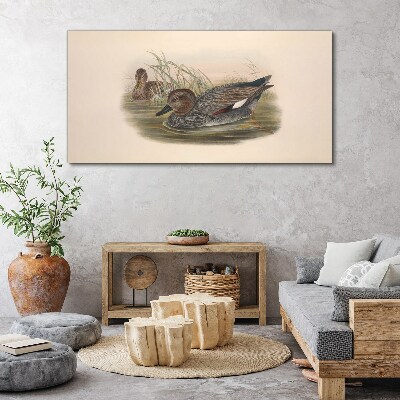 Ducks calm in their natural surroundings Canvas wall art