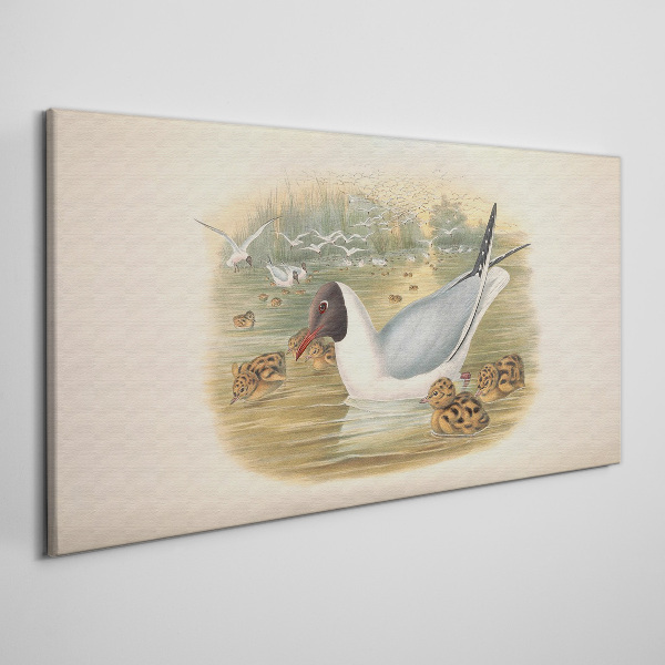 Seagull with young in the water Print on canvas