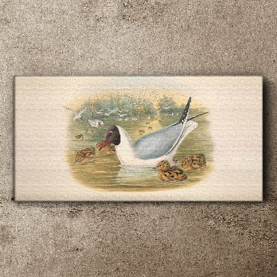 Seagull with young in the water Print on canvas