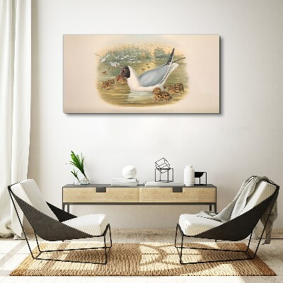 Seagull with young in the water Print on canvas