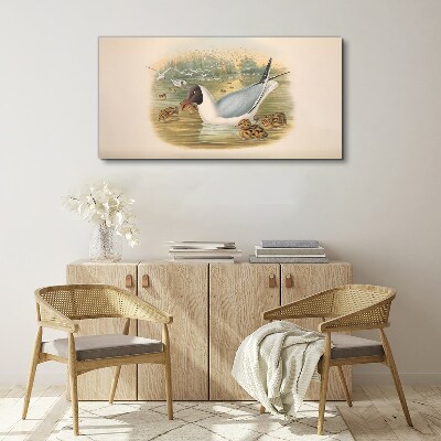 Seagull with young in the water Print on canvas