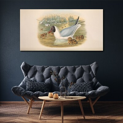 Seagull with young in the water Print on canvas