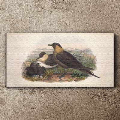 Family of birds on the nest Canvas wall art