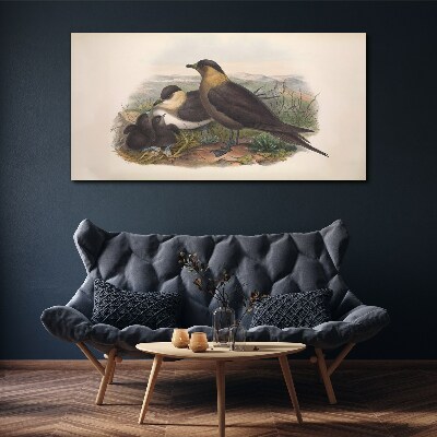 Birds animals Canvas print