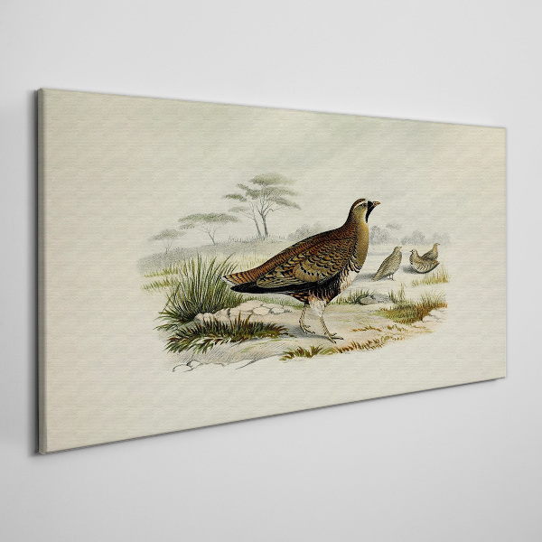 Birds wild animals Canvas print