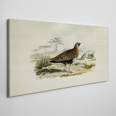 Birds Wild Animals Print on canvas
