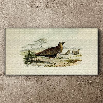 Birds Wild Animals Print on canvas