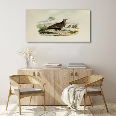 Birds Wild Animals Print on canvas