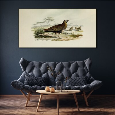 Birds wild animals Canvas print