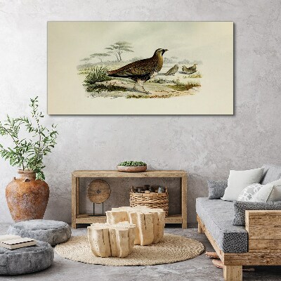 Birds wild animals Canvas print