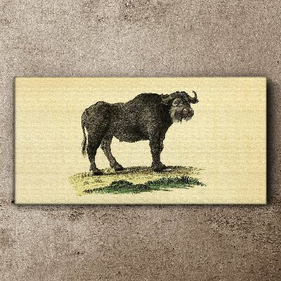 Buffalo animal figure Canvas print