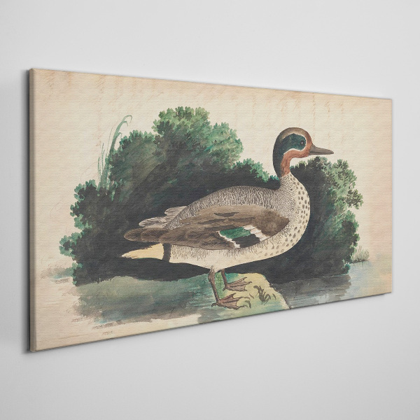 A duck surrounded by greenery Print on canvas