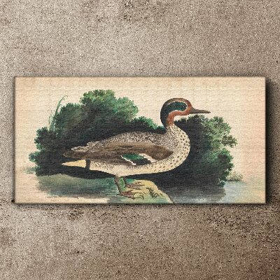 A duck surrounded by greenery Print on canvas