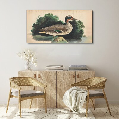A duck surrounded by greenery Print on canvas
