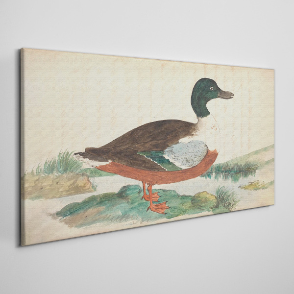 Duck against the green background Canvas wall art