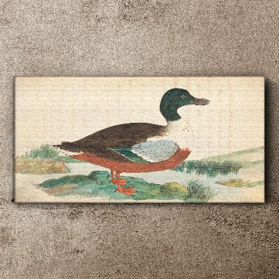 Duck against the green background Canvas wall art